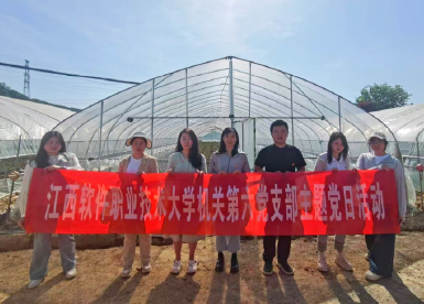 机关第六支部开展 “党建助农，莓好同行” 主题日活动